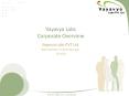 Vayavya Labs Corporate Overview