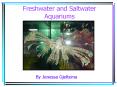 Freshwater and Saltwater PowerPoint Presentation by Jenessa Gjeltema