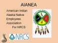 About AIANEA