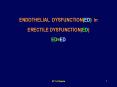 Endothelium vs Erectile dysfunction