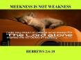 MEEKNESS IS NOT WEAKNESS