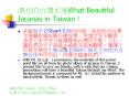 Taiwanese Scenery 3009