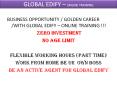 ONLINE TRAINING