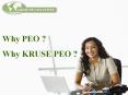 Kruse PEO - payroll services, worker's compensation and risk management