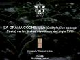 LA GRANA COCHINILLA en los textos del siglo XVIII.