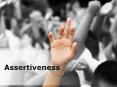 Assertiveness (Modern) PowerPoint Presentation Content: 133 slides