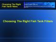 Choosing The Right Fish Tank Filters