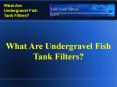 What Are Undergravel Fish Tank Filters?