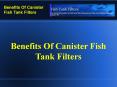 Benefits Of Canister Fish Tank Filters