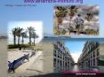 malaga  malaca miasta Maladze Malaga Espanjan kurssit Stadt Malaga