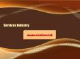 Services Industry