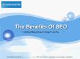 SEO Guru Houston - Search Engine Optimization Consulting & PPC Service
