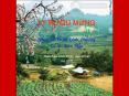 Ngày Tết Việt Nam