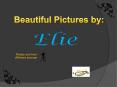 Beautiful Pictures by Elie
