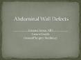 abdominal wall reconstruction