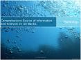 US Banks Financial Analysis and Services