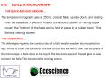 018	BUILD A MICROGRAPH