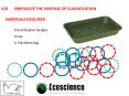 019	EMPHASIZE THE PURPOSE OF CLASSIFICATION
