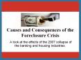 Causes and Consequences of the Foreclosure Crisis