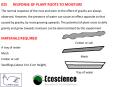 025	RESPONSE OF PLANT ROOTS TO MOISTURE