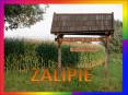 Zalipie