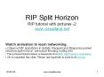 RIP Split Horizon (RIP picture book-2 from VisualLand Animations)