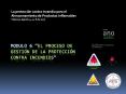 El Proceso de gestion de la proteccion contra incendio