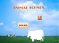 animals sounds