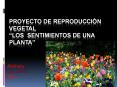 Investigación sobre las plantas