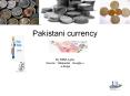 pakistani currency