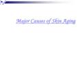 Major Causes of Skin Aging