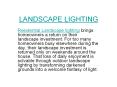 Landscape Lighting