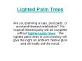 Lighted Palm Trees
