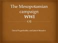 Mesopotamian Front World War I David & Jakob