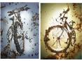 countless creative ads at one place