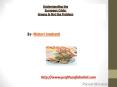 Understanding the European Crisis: Greece Is Not the Problem