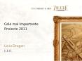 Proiecte majore Charisma ERP 2011