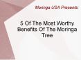 5 Of The Most Worthy Benefits Of The Moringa Tree