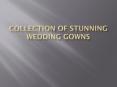 Wedding Gowns Pictures