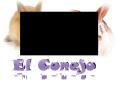 El conejo