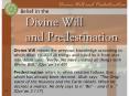 Divine Will & Predestination
