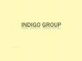 Indigo Group