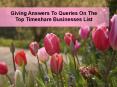 Giving Answers To Queries On The Top Timeshare Businesses List