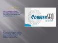 SEO Company India provides SEO service and SEM for small businesses