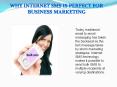 Why Internet SMS is perfect for business marketing