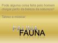 fauna