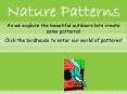 Nature's Patterns