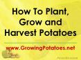 How To Plant, Grow and Harvest Potatoes