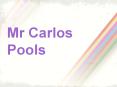 Mr. Carlos Pools Inc Utilizes A Personal Approach With Customers