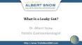 What Is a Leaky Gut?